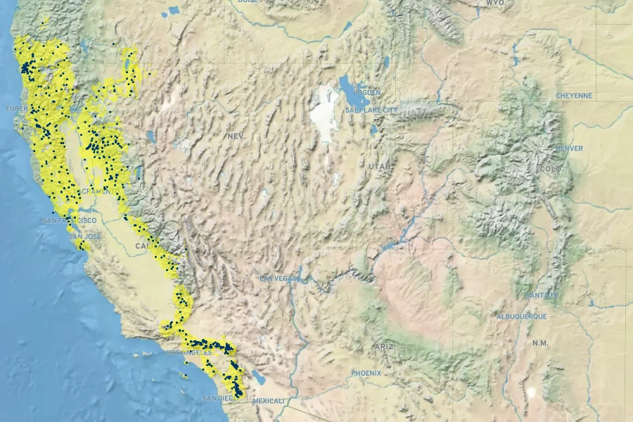Calystegia occidentalis Native Range