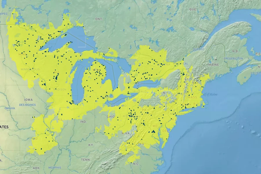 Calystegia spithamaea Native Range