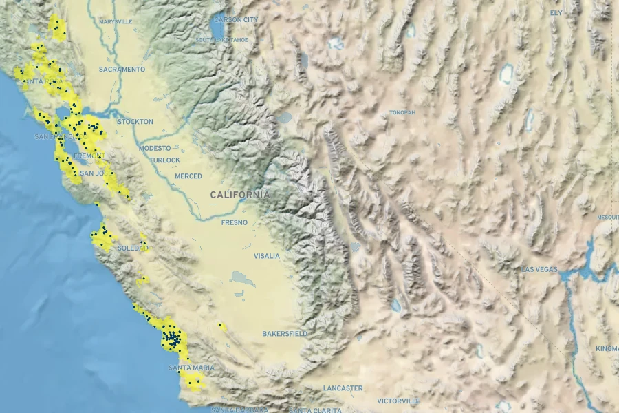 Calystegia subacaulis Native Range