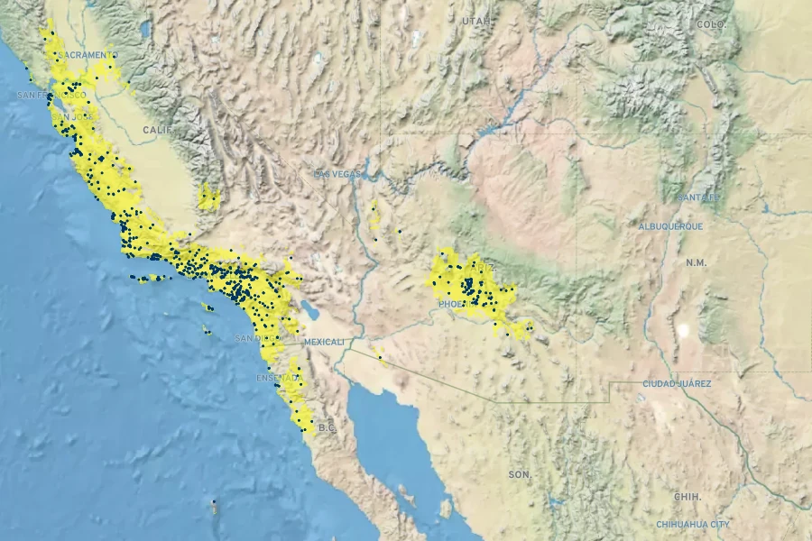 Camissoniopsis micrantha Native Range