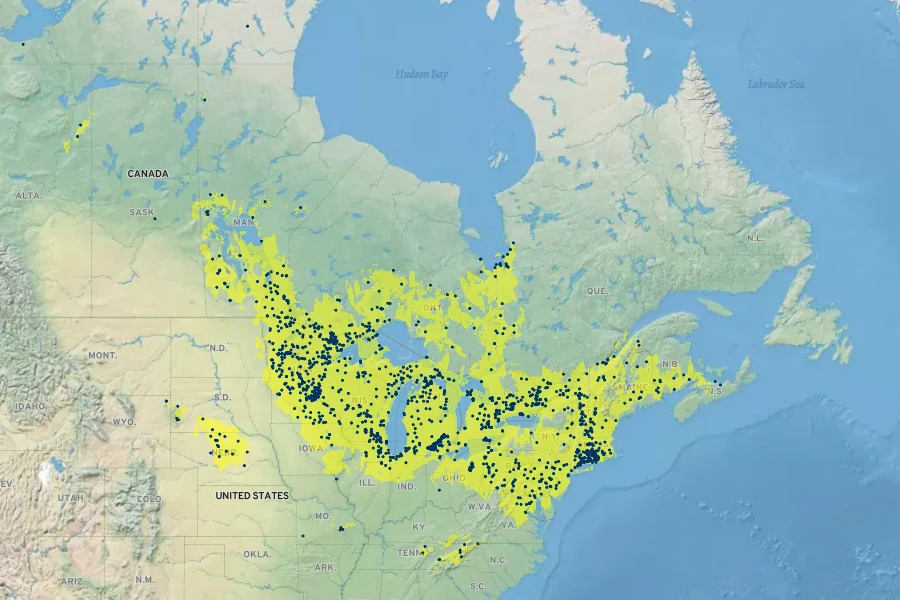Campanula aparinoides Native Range