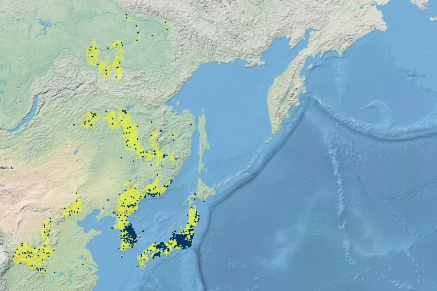 Campanula punctata Native Range