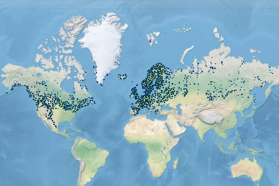 Campanula rotundifolia Native Range