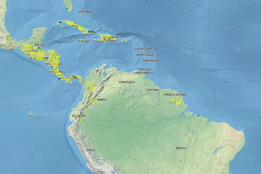 Campyloneurum costatum Native Range