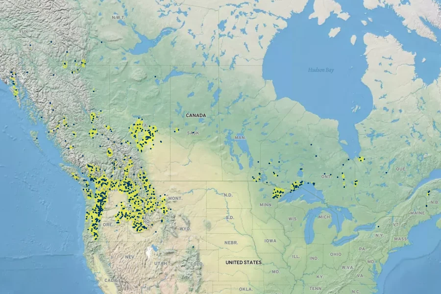 Canadanthus modestus Native Range