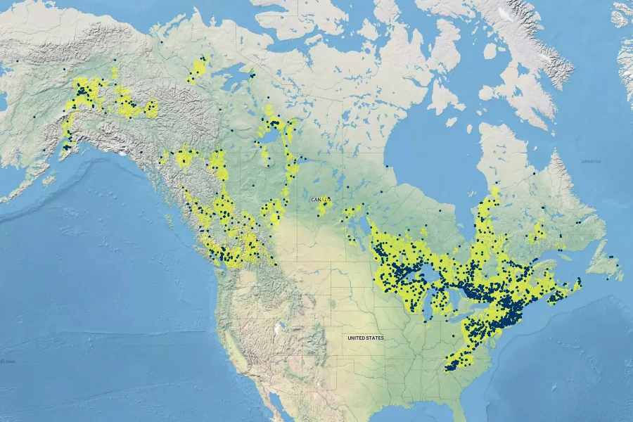Capnoides sempervirens Native Range