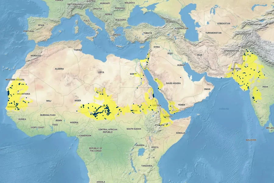Capparis decidua Native Range