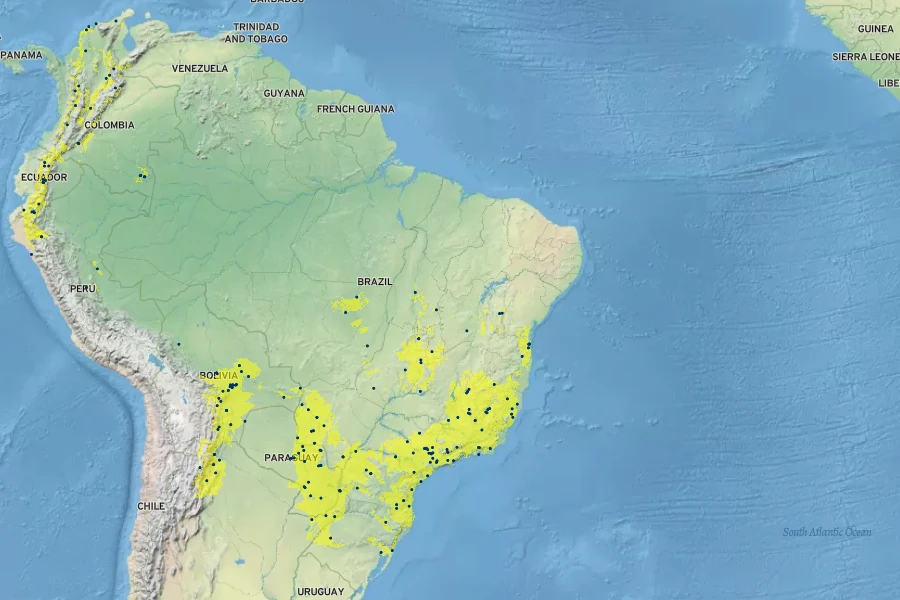 Capsicum baccatum Native Range