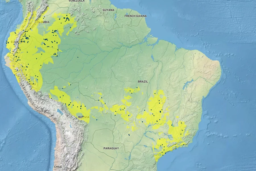 Capsicum chinense Native Range