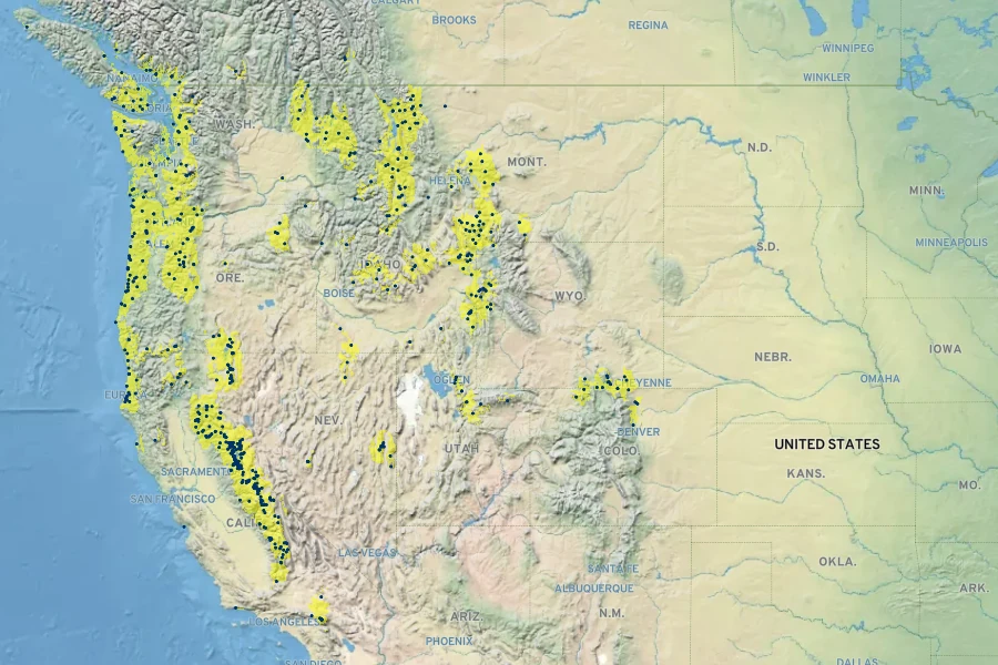 Cardamine breweri Native Range