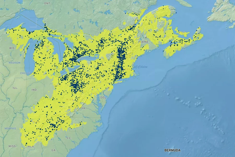 Cardamine diphylla Native Range