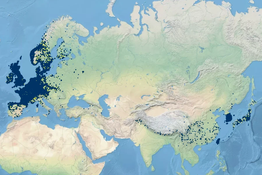 Cardamine flexuosa Native Range