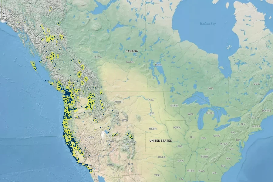 Cardamine oligosperma Native Range