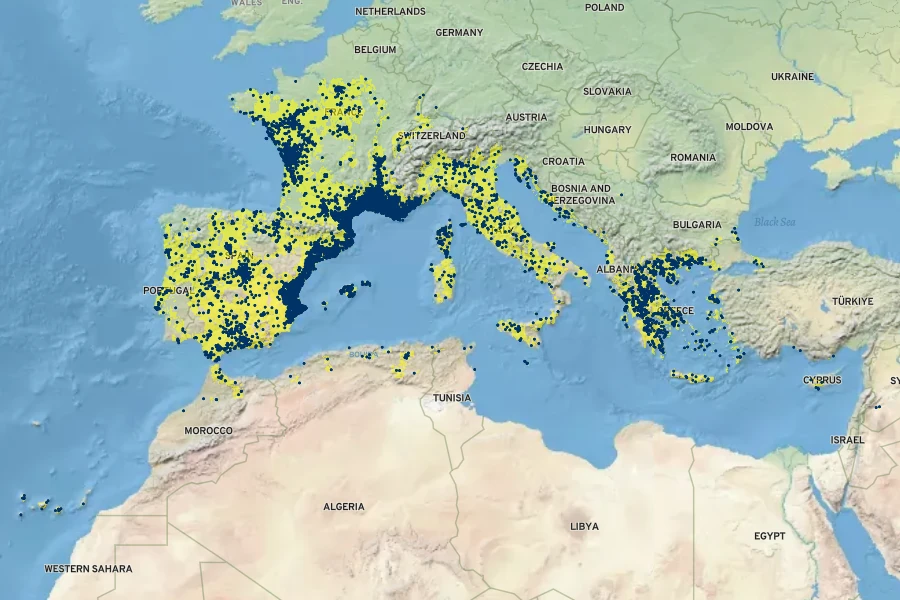 Carduus pycnocephalus Native Range