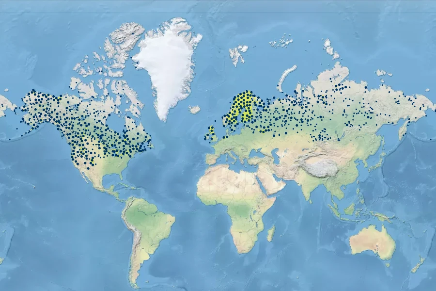 Carex aquatilis Native Range