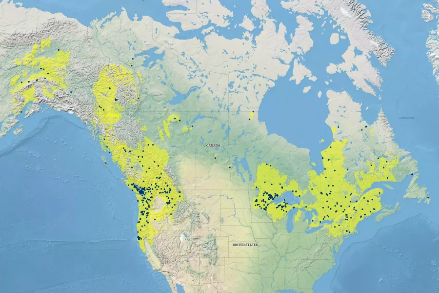 Carex arcta Native Range