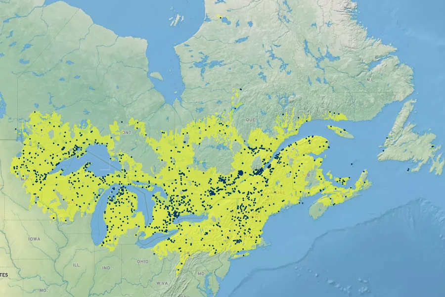 Carex arctata Native Range