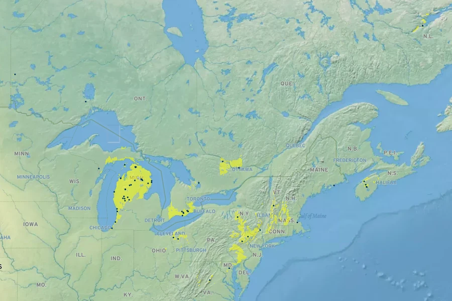 Carex argyrantha Native Range