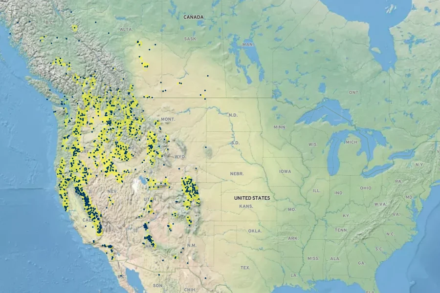 Carex athrostachya Native Range