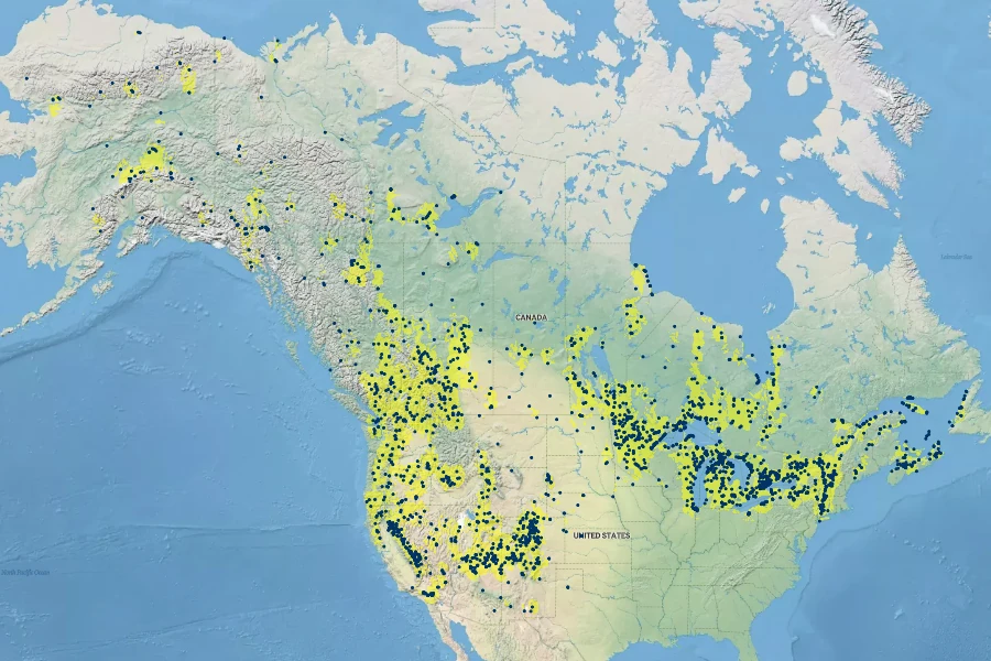 Carex aurea Native Range