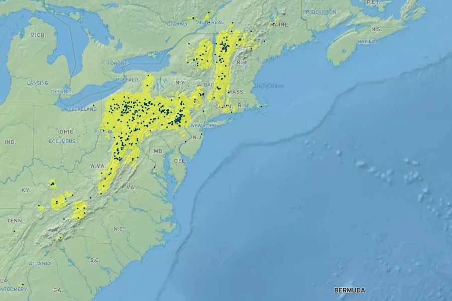 Carex baileyi Native Range