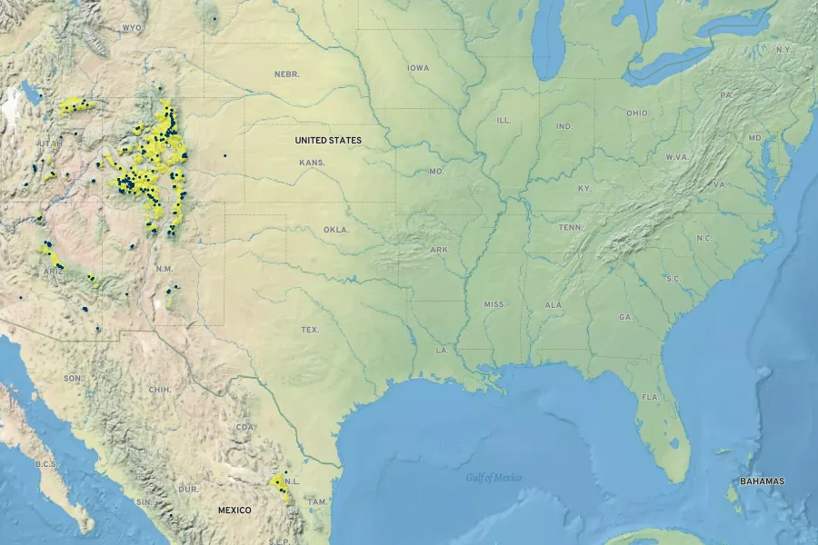 Carex bella Native Range