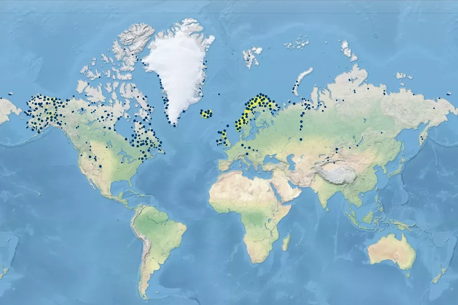 Carex bigelowii Native Range