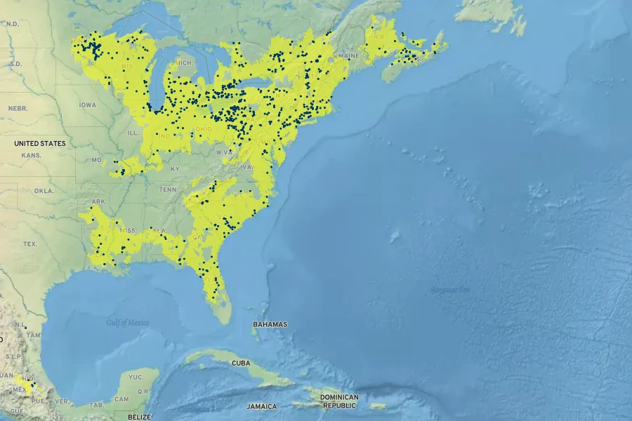 Carex bromoides Native Range