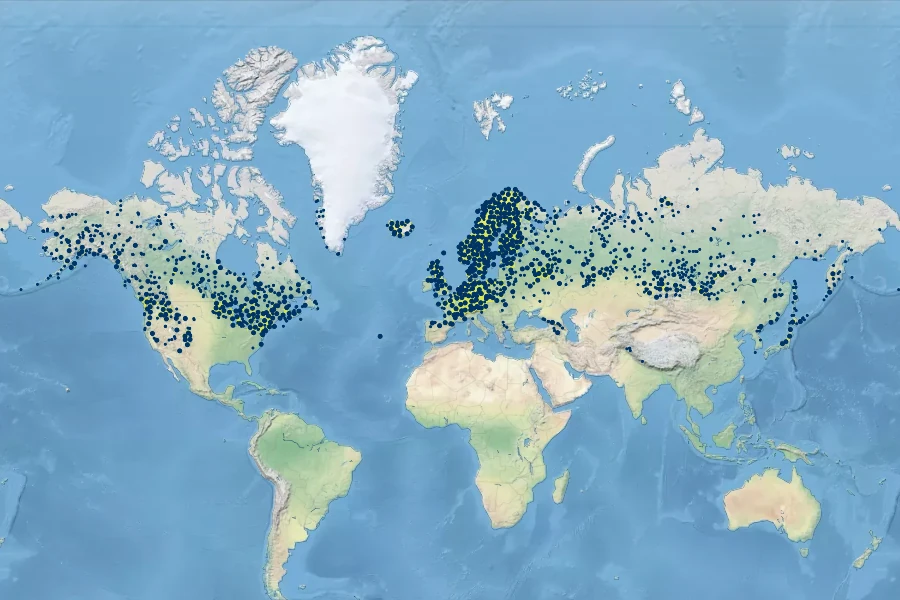 Carex canescens Native Range