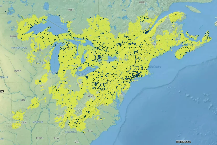 Carex communis Native Range