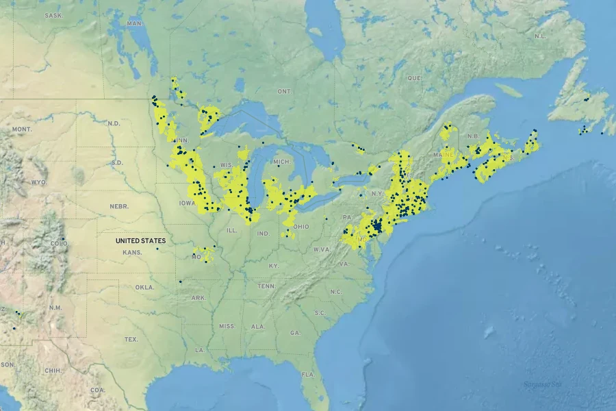 Carex conoidea Native Range
