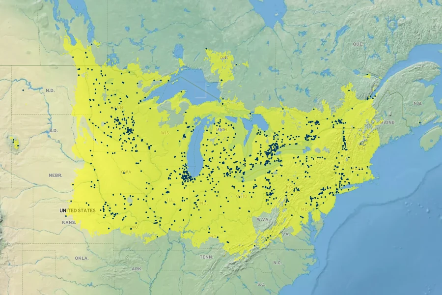 Carex cristatella Native Range