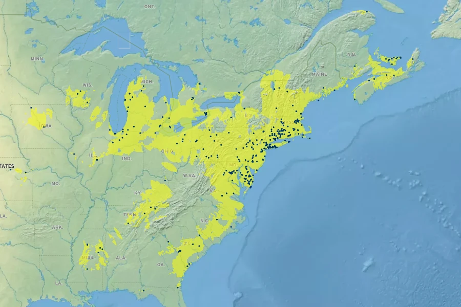 Carex davisii Native Range