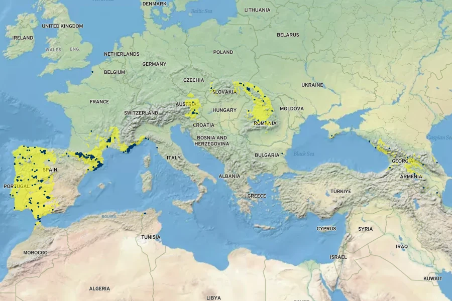 Carex depressa Native Range