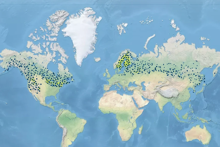 Carex disperma Native Range
