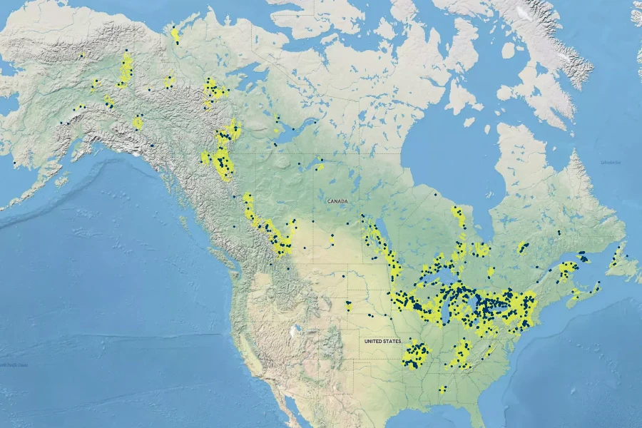Carex eburnea Native Range