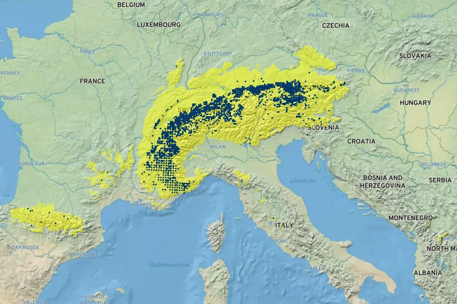 Carex ferruginea Native Range