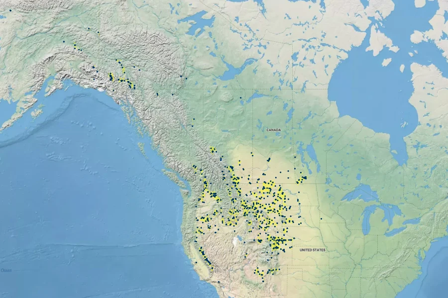 Carex filifolia Native Range