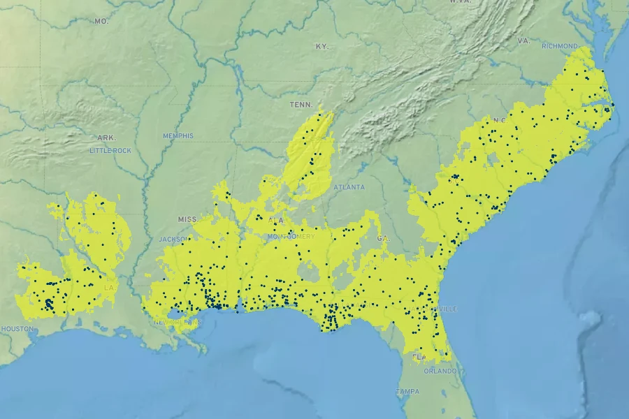 Carex glaucescens Native Range