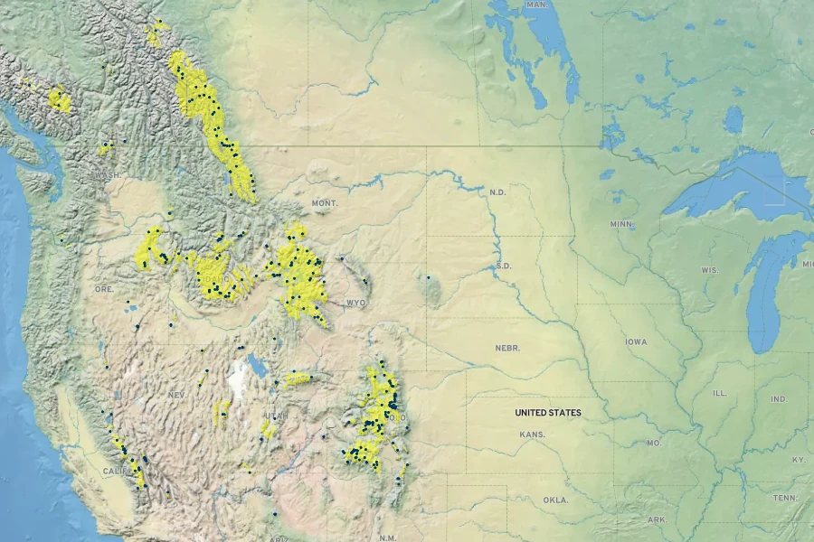 Carex haydeniana Native Range