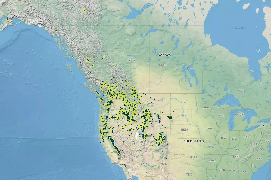 Carex hoodii Native Range
