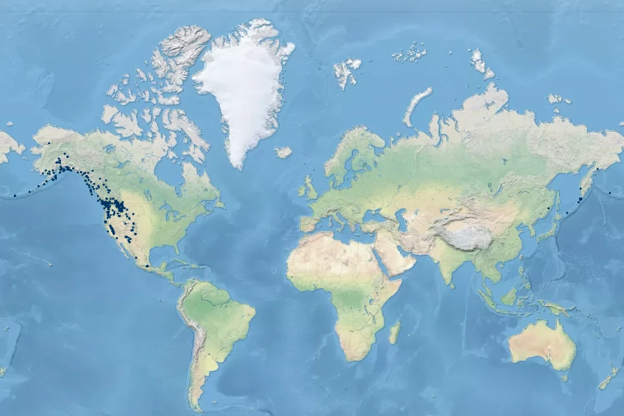 Carex kelloggii Native Range