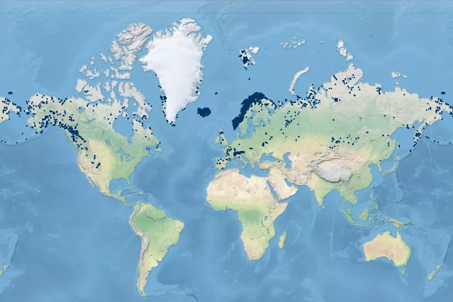 Carex lachenalii Native Range