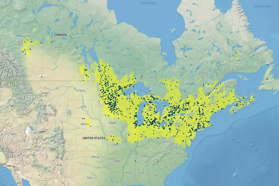Carex lacustris Native Range
