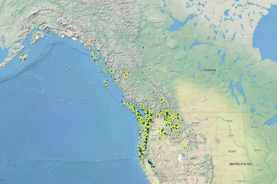 Carex laeviculmis Native Range