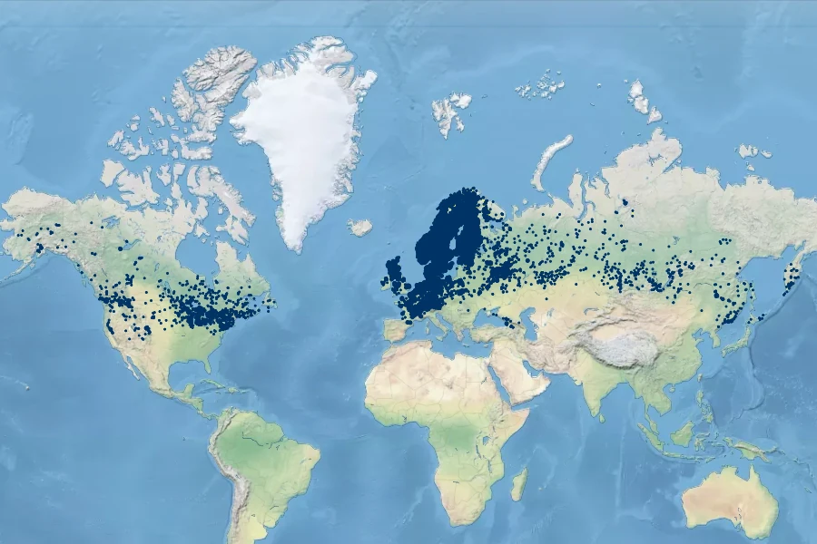 Carex lasiocarpa Native Range