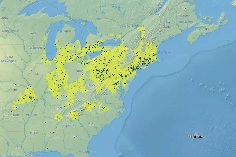Carex laxiculmis Native Range
