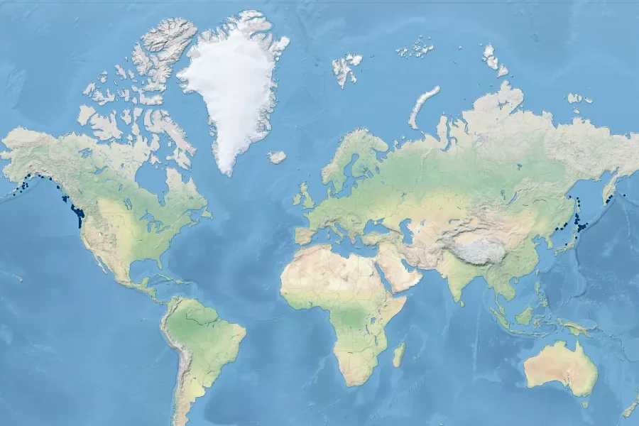 Carex macrocephala Native Range