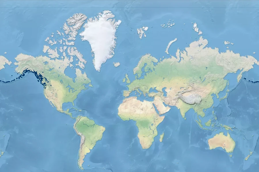 Carex macrochaeta Native Range