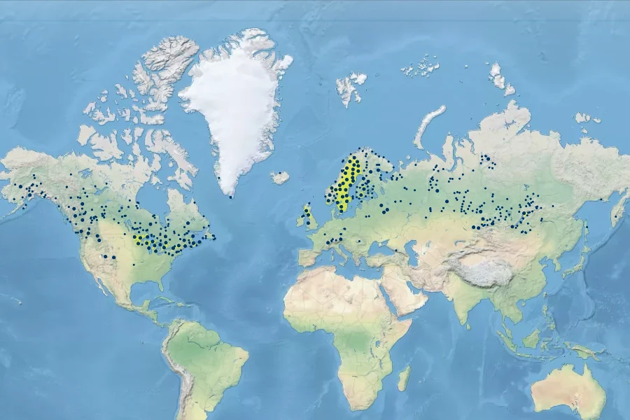 Carex magellanica Native Range